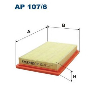 Filter zraka FILTRON AP 107/6