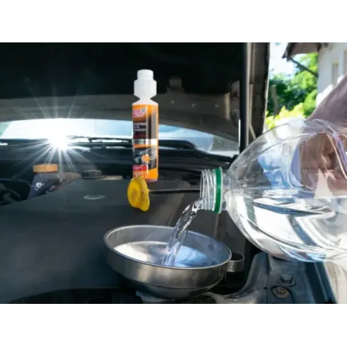 Moje Auto stakloper koncentrat Forest 250ml