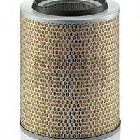 Filter zraka MANN-FILTER C 24 393