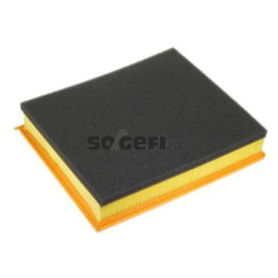 Filter zraka PURFLUX A1010