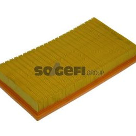 Filter zraka PURFLUX A1152